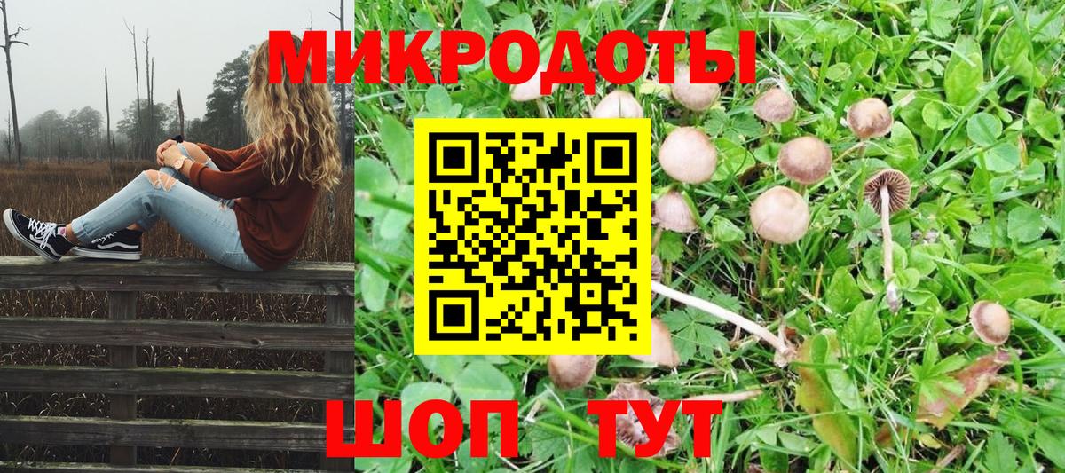 Псилоцибиновые грибы Psilocybe Таганрог
